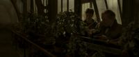 EdP-Potterish10033.jpg