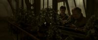 EdP-Potterish10034.jpg
