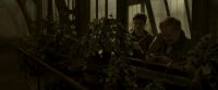 EdP-Potterish10036.jpg