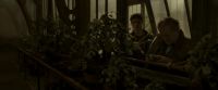 EdP-Potterish10037.jpg