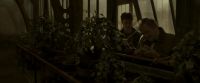 EdP-Potterish10041.jpg