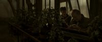 EdP-Potterish10044.jpg