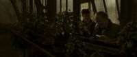 EdP-Potterish10051.jpg
