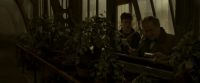 EdP-Potterish10058.jpg