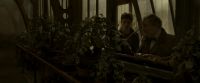 EdP-Potterish10060.jpg