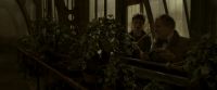 EdP-Potterish10061.jpg