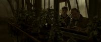 EdP-Potterish10062.jpg