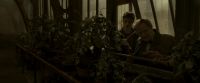 EdP-Potterish10063.jpg