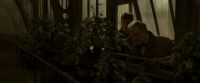 EdP-Potterish10065.jpg