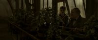 EdP-Potterish10068.jpg