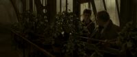 EdP-Potterish10071.jpg