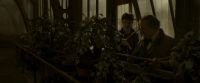 EdP-Potterish10073.jpg