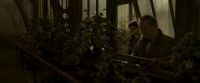 EdP-Potterish10075.jpg