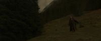 EdP-Potterish10147.jpg