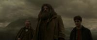 EdP-Potterish10177.jpg