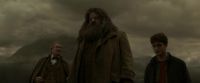 EdP-Potterish10178.jpg