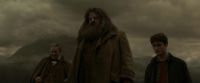 EdP-Potterish10179.jpg