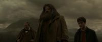 EdP-Potterish10180.jpg