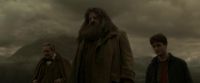 EdP-Potterish10181.jpg