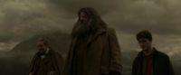EdP-Potterish10182.jpg