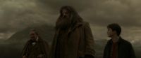 EdP-Potterish10183.jpg
