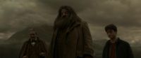 EdP-Potterish10189.jpg