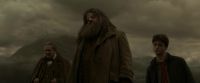 EdP-Potterish10200.jpg