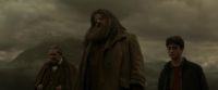EdP-Potterish10201.jpg