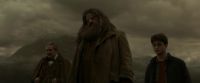 EdP-Potterish10203.jpg
