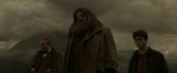 EdP-Potterish10204.jpg
