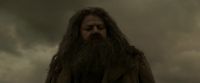 EdP-Potterish10218.jpg