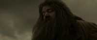 EdP-Potterish10238.jpg