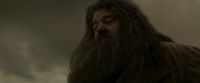 EdP-Potterish10239.jpg
