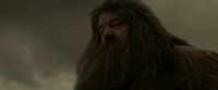 EdP-Potterish10240.jpg