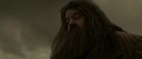 EdP-Potterish10241.jpg