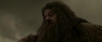 EdP-Potterish10242.jpg