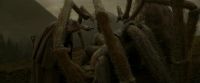 EdP-Potterish10266.jpg