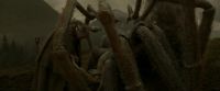 EdP-Potterish10267.jpg