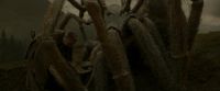 EdP-Potterish10279.jpg