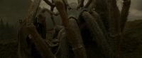 EdP-Potterish10281.jpg