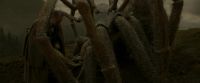 EdP-Potterish10283.jpg