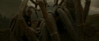 EdP-Potterish10284.jpg