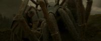 EdP-Potterish10285.jpg