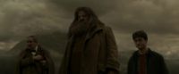 EdP-Potterish10294.jpg