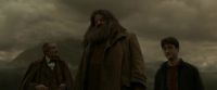EdP-Potterish10306.jpg