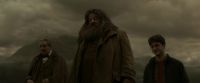 EdP-Potterish10310.jpg