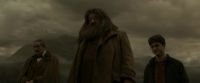 EdP-Potterish10311.jpg
