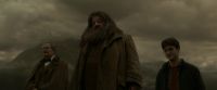 EdP-Potterish10317.jpg