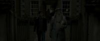 EdP-Potterish1032.jpg