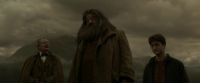 EdP-Potterish10323.jpg